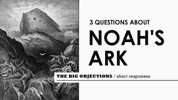 Three questions about Noah's ark